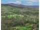 195 Willi Willi Road, Turners Flat NSW 2440