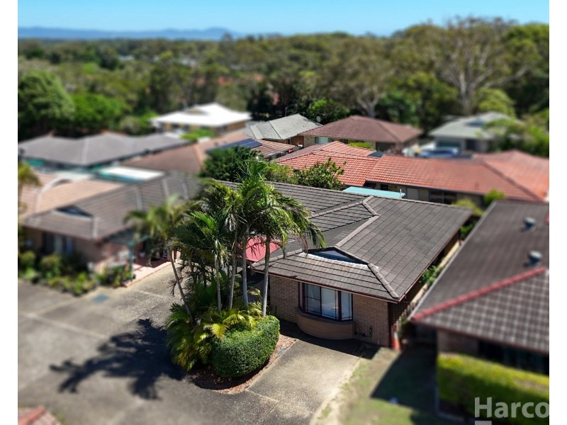 11/85 Gregory Street, South West Rocks NSW 2431