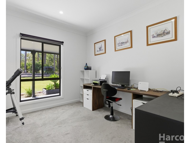 52A Bloodwood Crescent, Yarravel NSW 2440