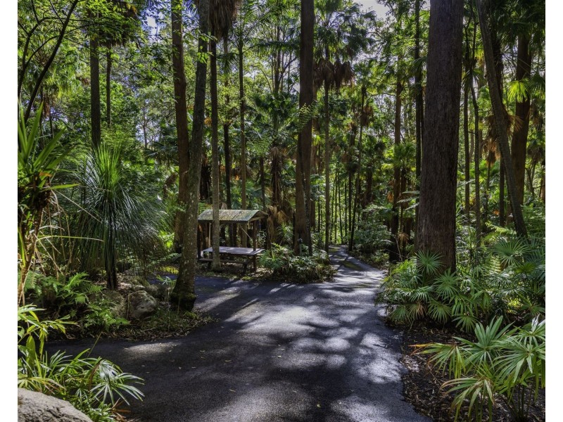 46 Fern Tree Close, Arakoon NSW 2431