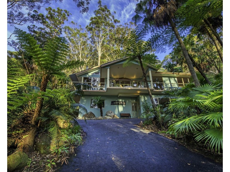 46 Fern Tree Close, Arakoon NSW 2431