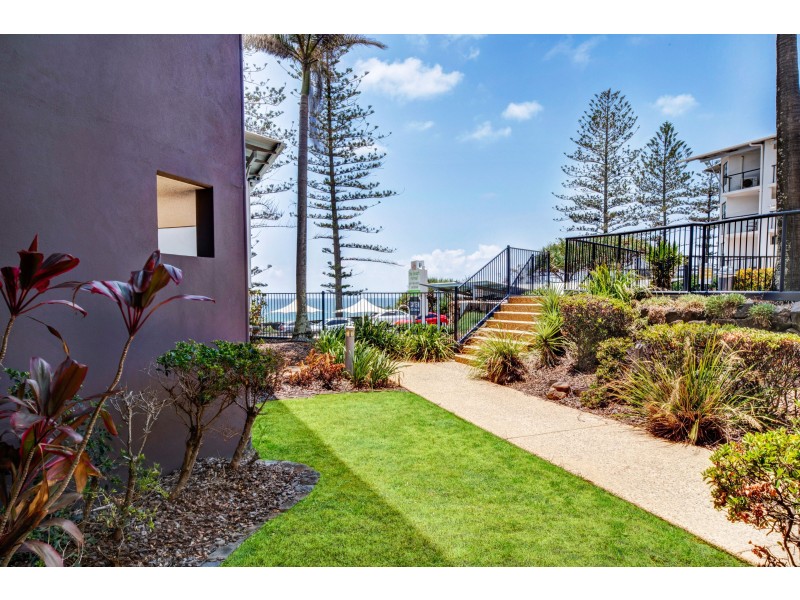 14/1750 David Low Way, Coolum Beach QLD 4573