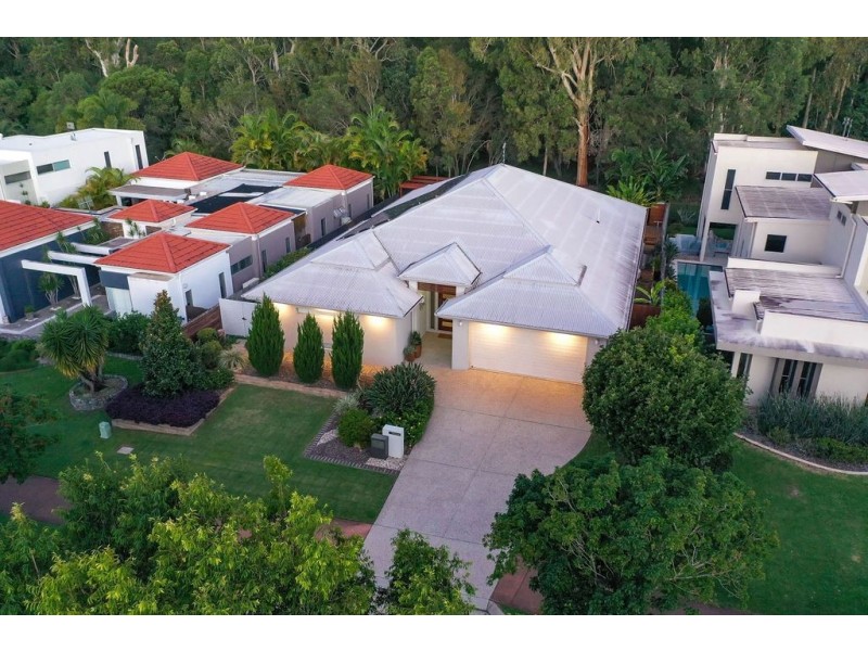 77 The Avenue, Peregian Springs QLD 4573