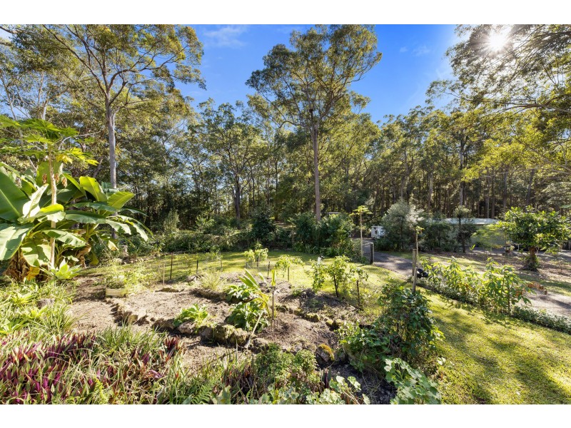 145 Wappa Falls Road, Yandina QLD 4561