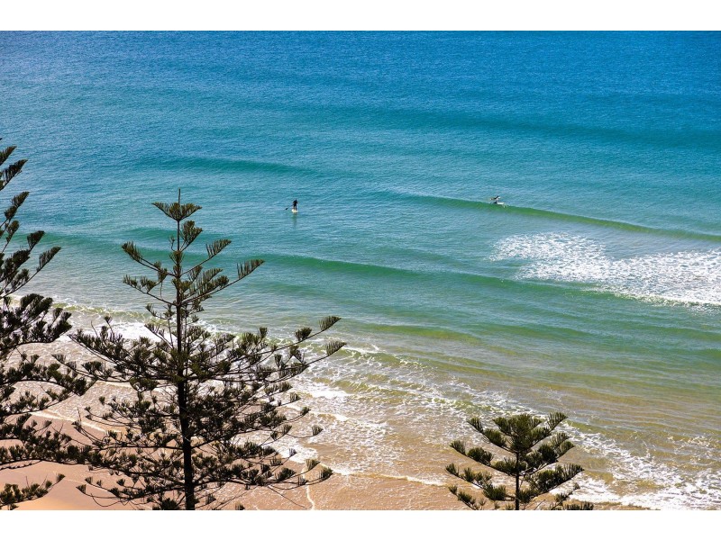 51/1740 David Low Way, Coolum Beach QLD 4573
