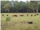Dulacca QLD 4425