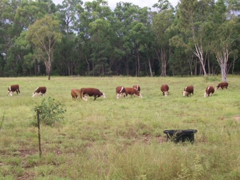 Dulacca QLD 4425