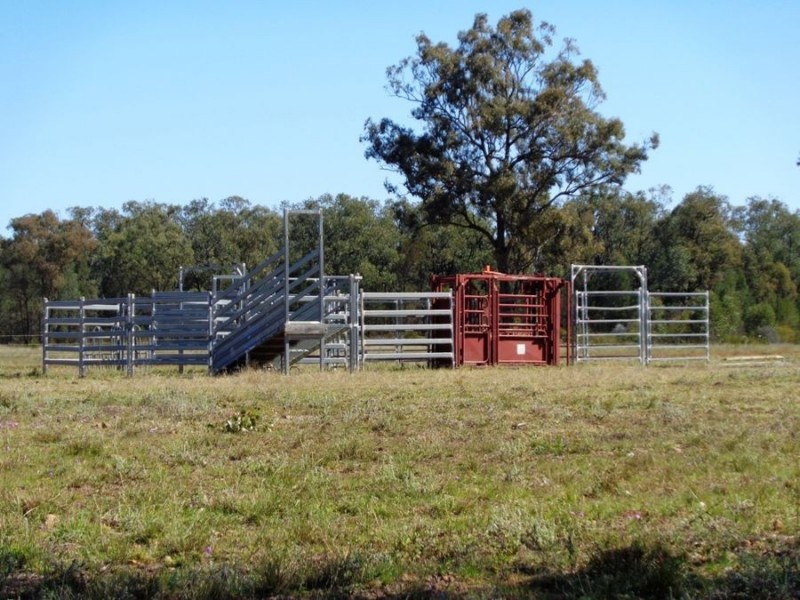 Dulacca QLD 4425