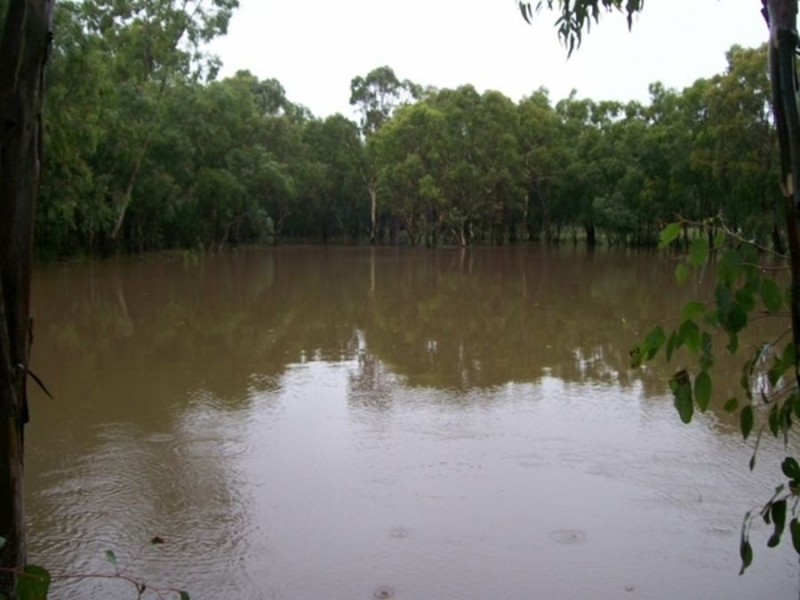 Dulacca QLD 4425