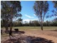 Dulacca QLD 4425