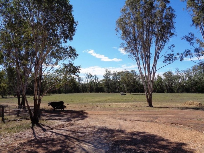 Dulacca QLD 4425