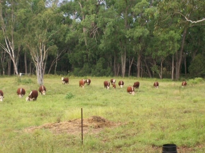 Dulacca QLD 4425
