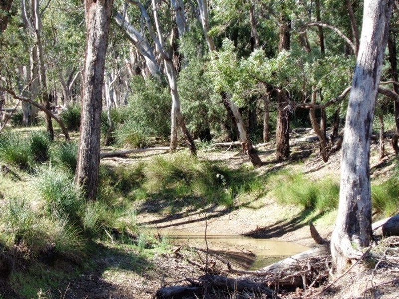 Dulacca QLD 4425