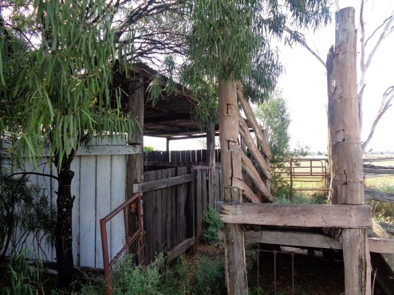 10 Forrest Street, Drillham QLD 4424