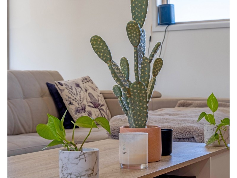 13/20 Spinnaker Drive, Mount Coolum QLD 4573