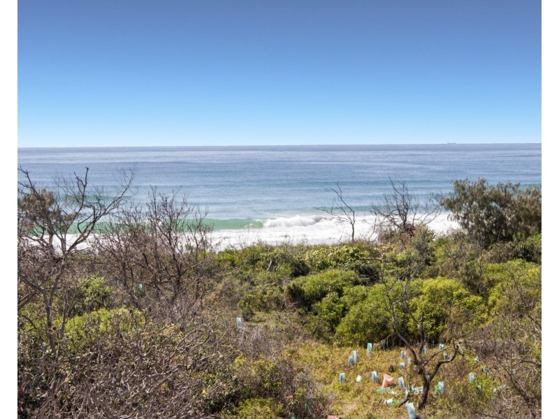 33 Green Turtle Place, Marcoola QLD 4564