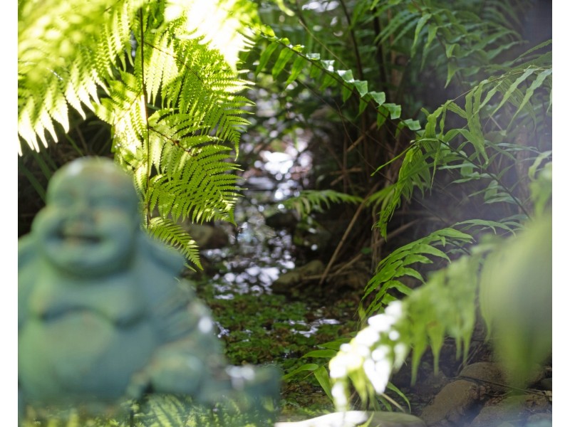 42 Cupania Street, Mudjimba QLD 4564