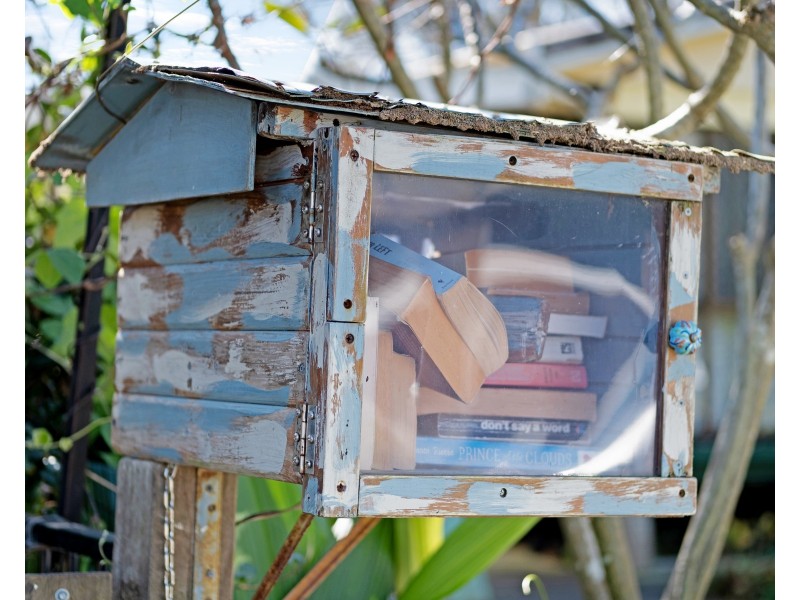 42 Cupania Street, Mudjimba QLD 4564