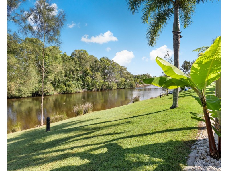 55/151-153 Mudjimba Beach Road, Mudjimba QLD 4564