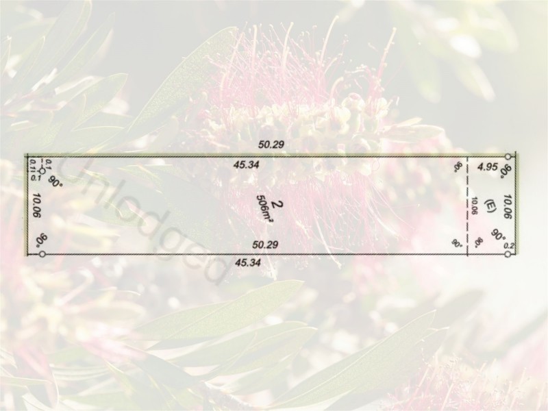 43A Midgley Street, Lathlain WA 6100