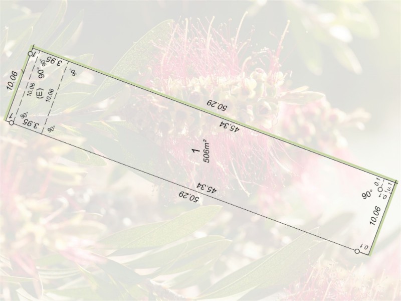 43B Midgley Street, Lathlain WA 6100