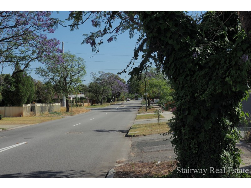 43B Midgley Street, Lathlain WA 6100