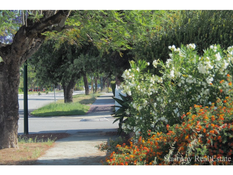 43B Midgley Street, Lathlain WA 6100