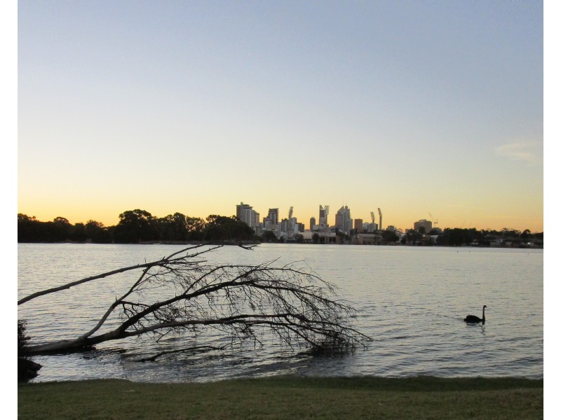 15a Midgley Street, Lathlain WA 6100