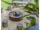 1631 Ocean Drive, Lake Cathie NSW 2445