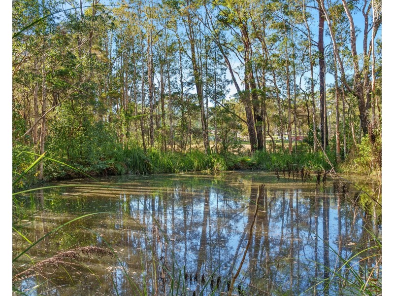 132-144 Ocean Drive, Kew NSW 2439