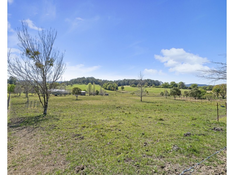 20 North Branch Road, Upsalls Creek NSW 2439