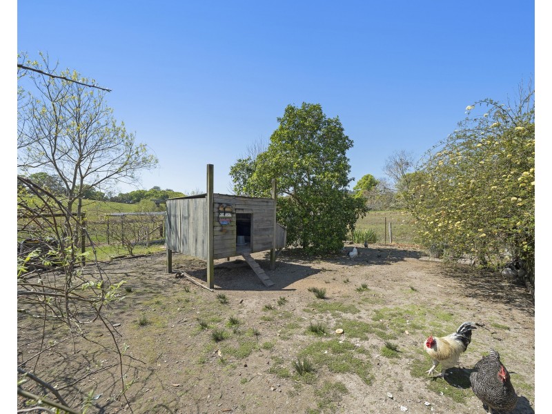 20 North Branch Road, Upsalls Creek NSW 2439