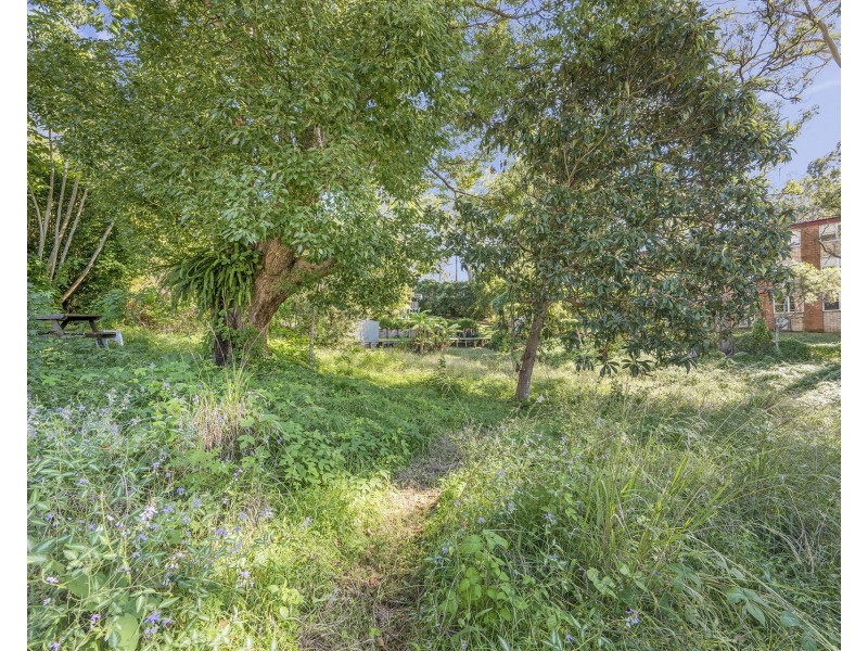 54  Graham Street, Kendall NSW 2439