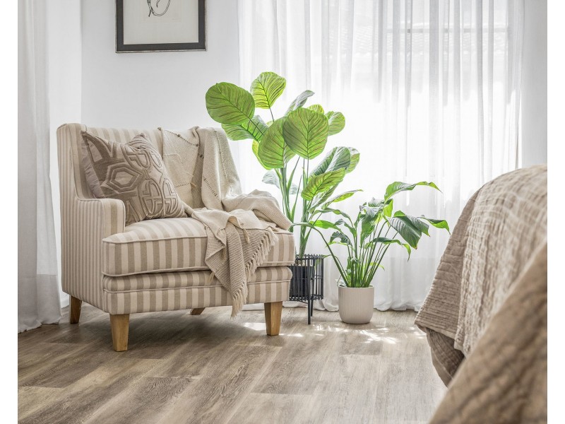 98 Chepana Street, Lake Cathie NSW 2445