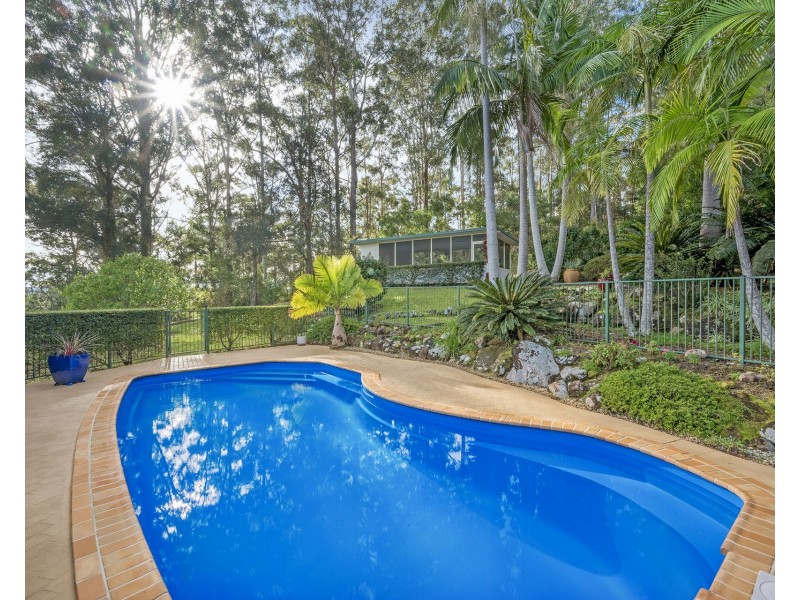 31 Brotherglen Drive, Kew NSW 2439