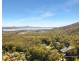10 Ferntree Court, Kew NSW 2439