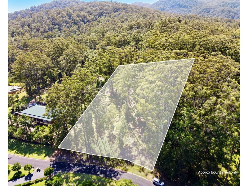 10 Ferntree Court, Kew NSW 2439