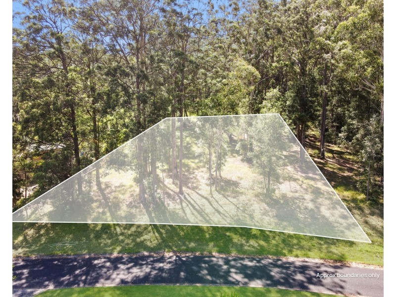10 Ferntree Court, Kew NSW 2439