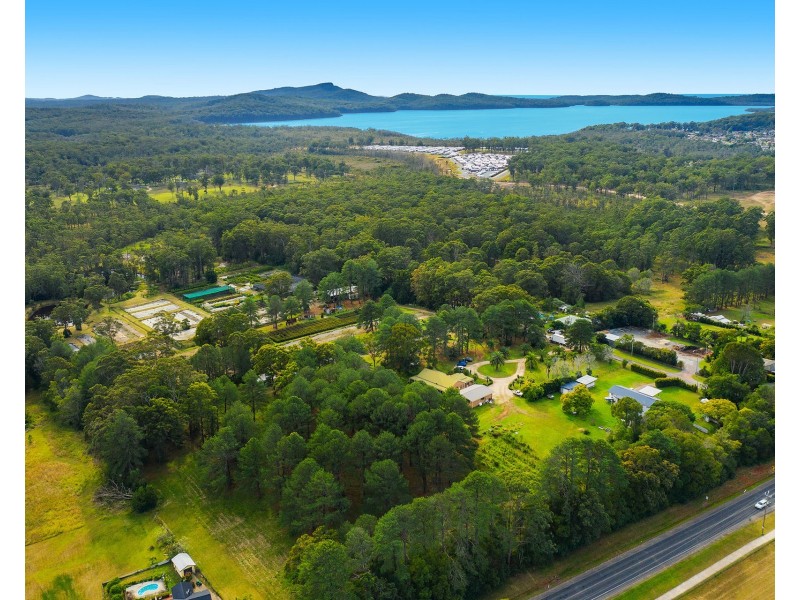 167 Ocean Drive, Kew NSW 2439