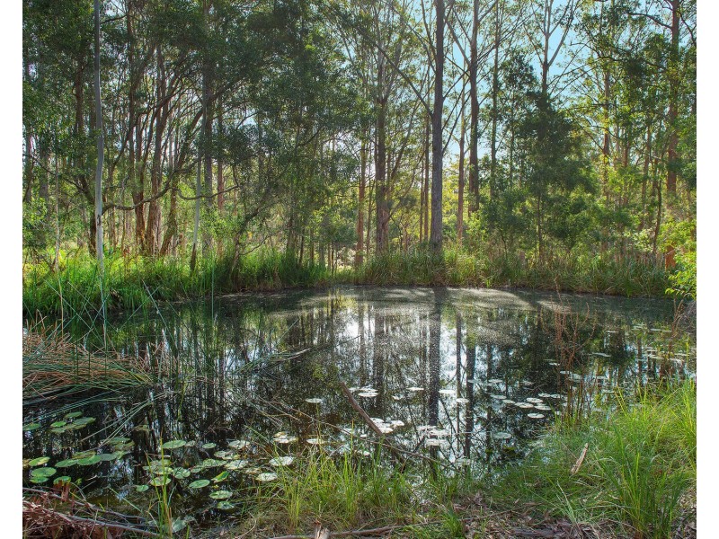 38 Robinsons Access Via Beranghi Road, Crescent Head NSW 2440