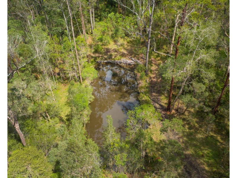 229 Settlers Way, South Kempsey NSW 2440