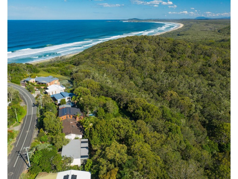 31 Skyline Crescent, Crescent Head NSW 2440