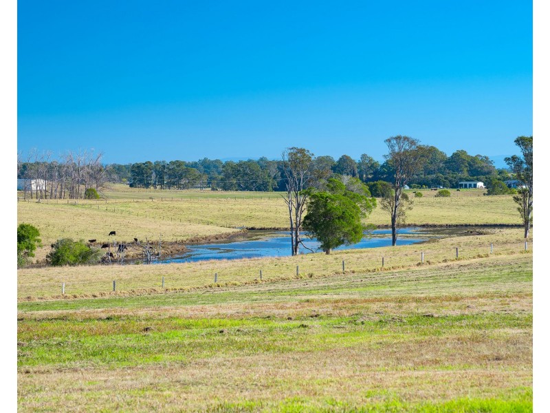 40 Massie Place, Dondingalong NSW 2440