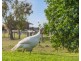 212 Kinchela Creek Right Bank Road, Kinchela NSW 2440