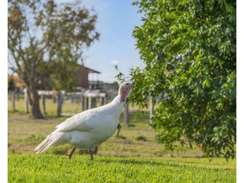212 Kinchela Creek Right Bank Road, Kinchela NSW 2440