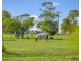 212 Kinchela Creek Right Bank Road, Kinchela NSW 2440