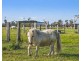 212 Kinchela Creek Right Bank Road, Kinchela NSW 2440