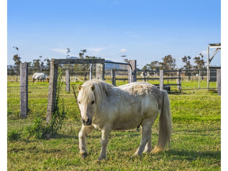 212 Kinchela Creek Right Bank Road, Kinchela NSW 2440