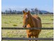 212 Kinchela Creek Right Bank Road, Kinchela NSW 2440