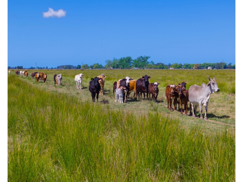 Lot 230, 83 Sutherlands Lane, Bellimbopinni NSW 2440